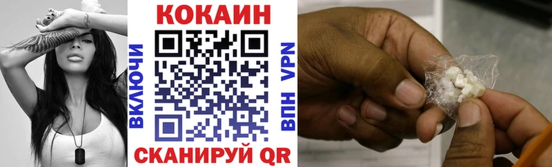 Cocaine Fish Scale  MEGA вход  Елизово 