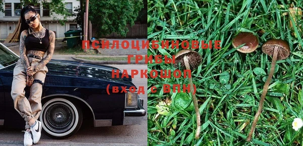 бошки Алексин