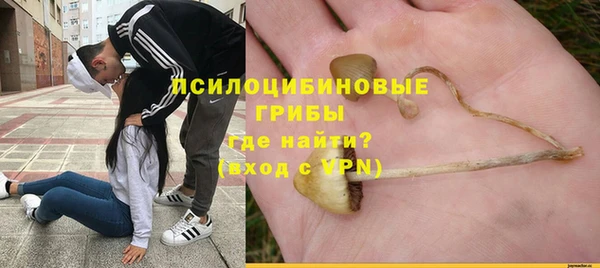 амф Алексеевка